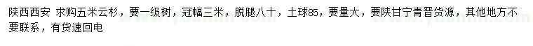求購(gòu)5米云杉