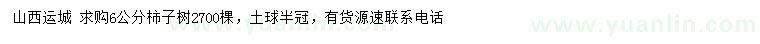 求購6公分柿子樹