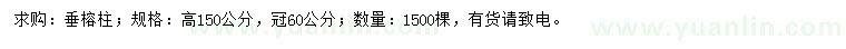 求購高150公分垂榕柱