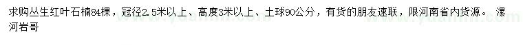 求購(gòu)冠徑2.5米以上叢生紅葉石楠