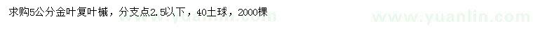求購5公分金葉復(fù)葉槭