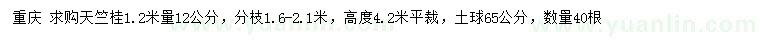 求購1.2米量12公分天竺桂