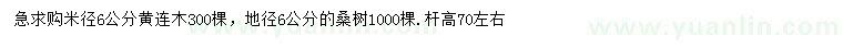 求購米徑6公分黃連木、地徑6公分桑樹