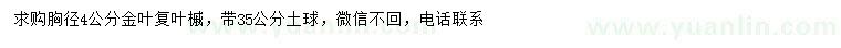 求購胸徑4公分金葉復葉槭