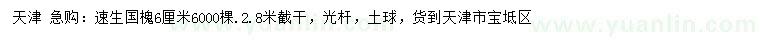 求購6公分速生國槐