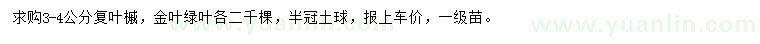 求購(gòu)3-4公分復(fù)葉槭