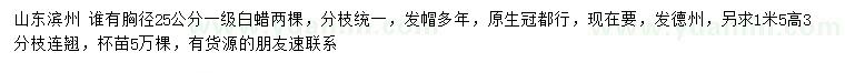 求購(gòu)胸徑25公分白蠟、高1.5米連翹