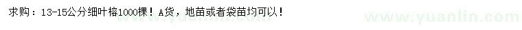 求購13-15公分細葉榕