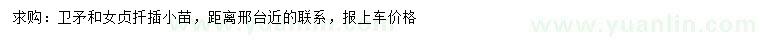 求購(gòu)衛(wèi)矛、女貞扦插小苗