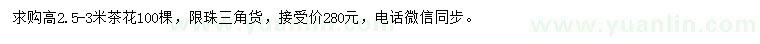 求購高2.5-3米茶花