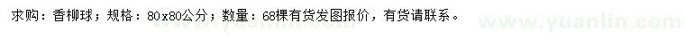 求購(gòu)80*80公分香柳球