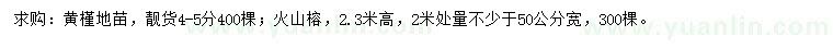 求購4-5公分黃槿、高2.3米火山榕