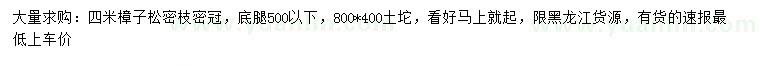 求購(gòu)4米樟子松