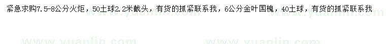 求購7.5-8公分火炬、6公分金葉國槐