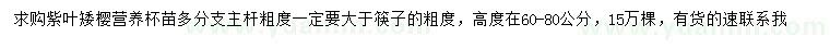 求購高60-80公分紫葉矮櫻