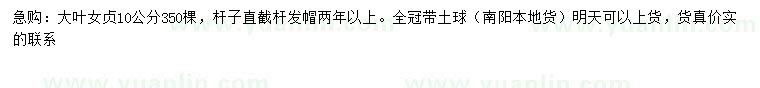 求購10公分大葉女貞