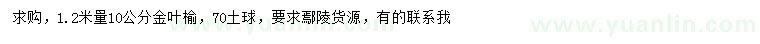 求購1.2米量10公分金葉榆