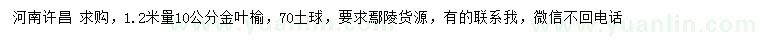 求購1.2米量10公分金葉榆