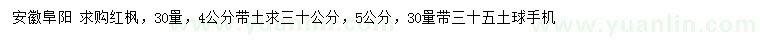 求購30量4公分紅楓