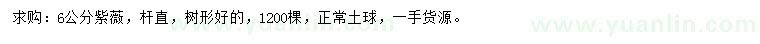 求購6公分紫薇
