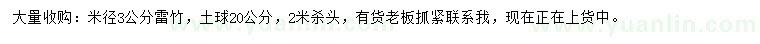 求購(gòu)米徑3公分雷竹