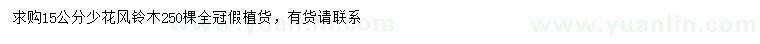 求購15公分少花風(fēng)鈴木