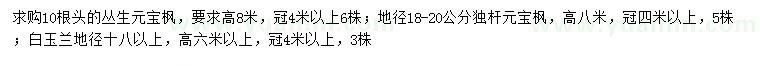 求購(gòu)叢生元寶楓、獨(dú)桿元寶楓、白玉蘭