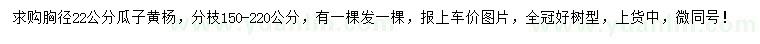 求購胸徑22公分瓜子黃楊