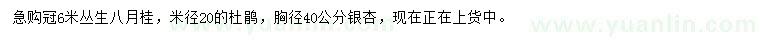 求購(gòu)桂花、杜鵑、銀杏