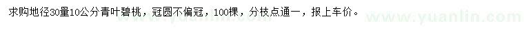 求購(gòu)地徑30量10公分青葉碧桃