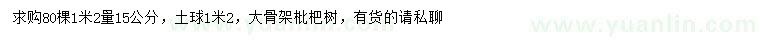 求購1.2米量15公分枇杷樹
