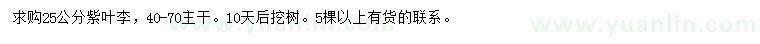 求購25公分紫葉李
