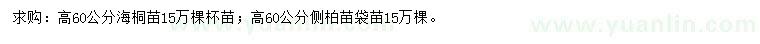 求購(gòu)高60公分海桐、側(cè)柏
