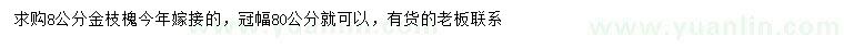 求購8公分金枝槐