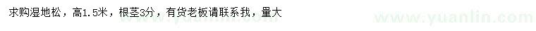 求購高1.5米濕地松