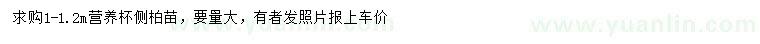 求購1-1.2米側(cè)柏苗