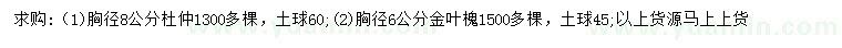 求購(gòu)胸徑8公分杜仲、胸徑6公分金葉槐