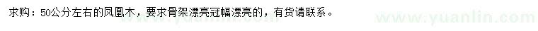 求購50公分左右鳳凰木