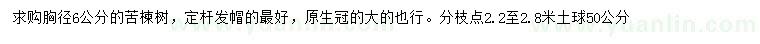 求購胸徑6公分苦楝樹