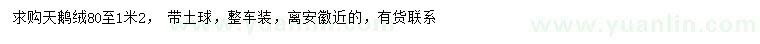 求購(gòu)80-1.2米天鵝絨