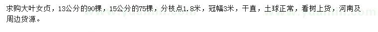 求購13、15公分大葉女貞