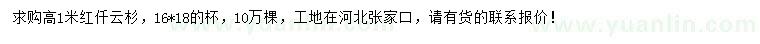 求購高1米紅仟云杉