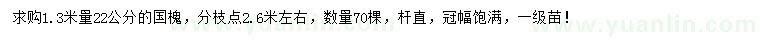 求購1.3米量22公分國槐