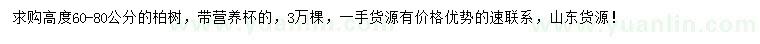 求購高60-80公分柏樹