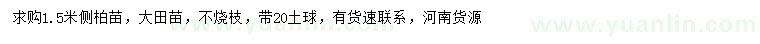 求購(gòu)1.5米側(cè)柏