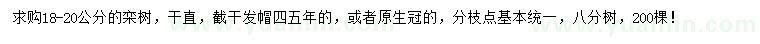 求購18-20公分欒樹