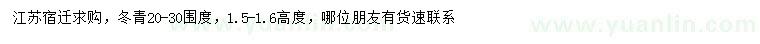求購高1.5-1.6米冬青