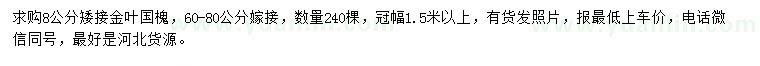 求購8公分矮接金葉國槐