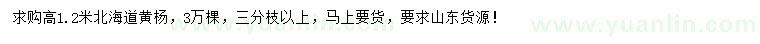 求購高1.2米北海道黃楊