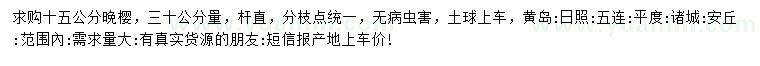 求購15公分晚櫻
